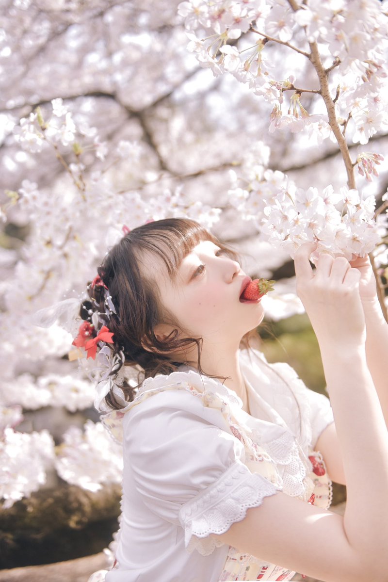 dzzdm's tweet photo. 🌸と🍓

#ポートレート #桜 https://t.co/u21wBkozXv