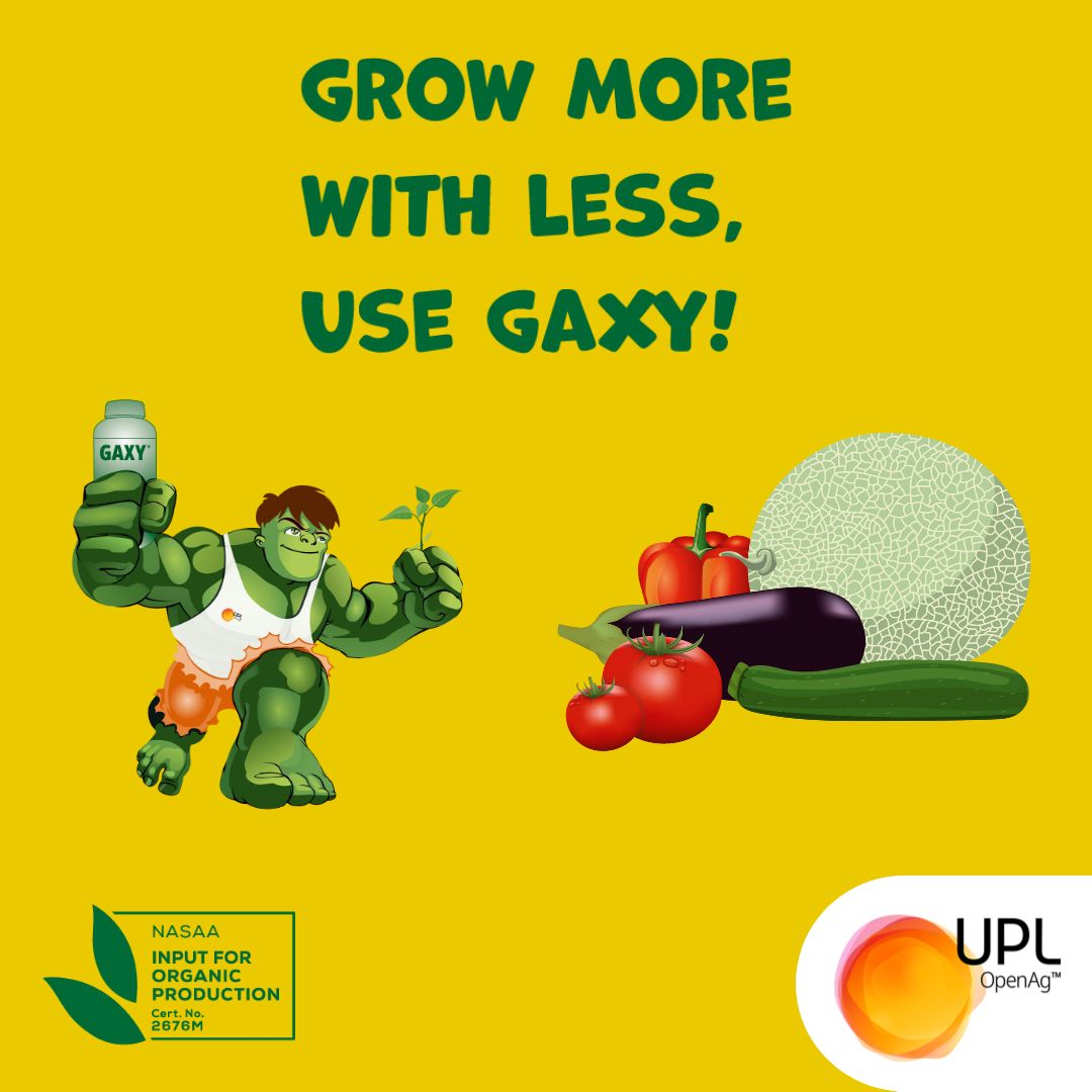 UPLAUSLtd's tweet photo. Grow more with less – use GAXY® #BioStimulant to boost #planthealth &amp; #yield in #hort #crops. Super-concentrated filtrates delivers results with less product making GAXY® cost-effective #certifiedorganic for #fruits &amp; #veg. Available in stores now! #UPL https://t.co/jRMy8hD7k5 https://t.co/Jjaq9BEZxw