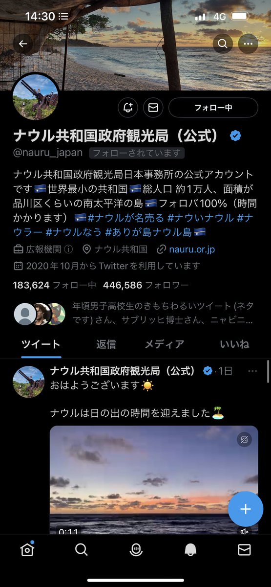 猫噛姫琉 tweet media