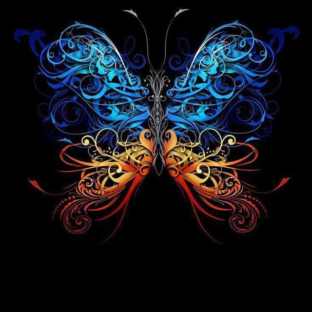 Human sensitivity🦋 tweet media