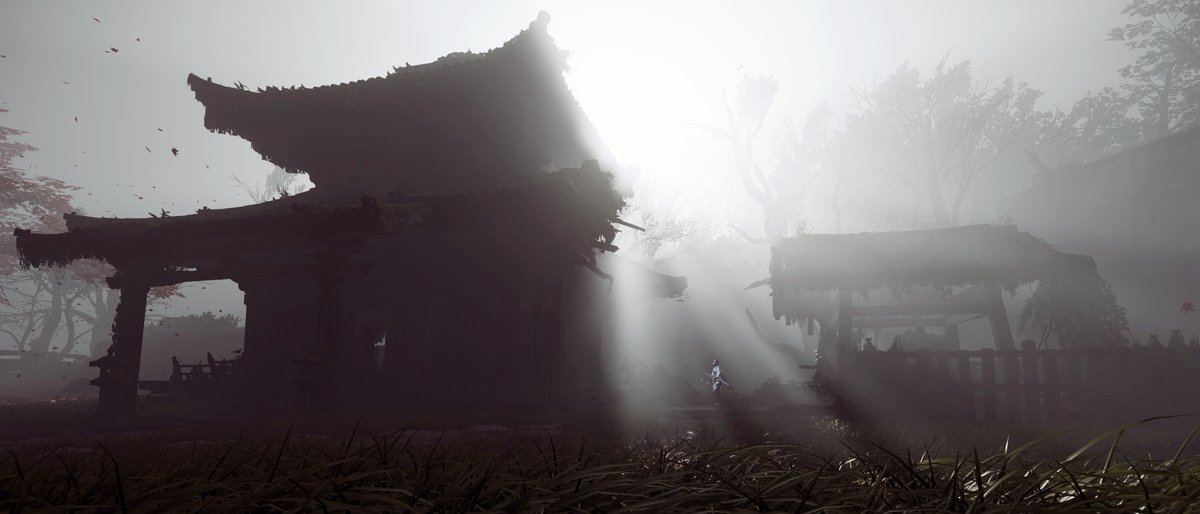 Shinobi 🖱📸 tweet media