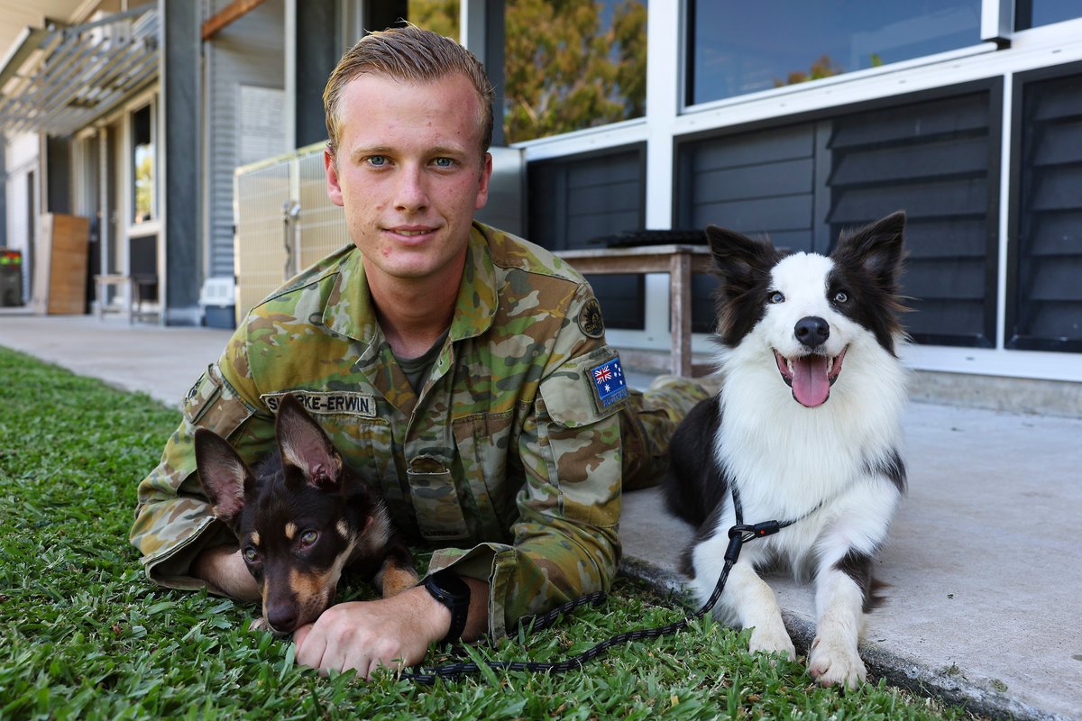 Australian Army on Twitter "Meet 3rd Combat Engineer Regiment’s newest
