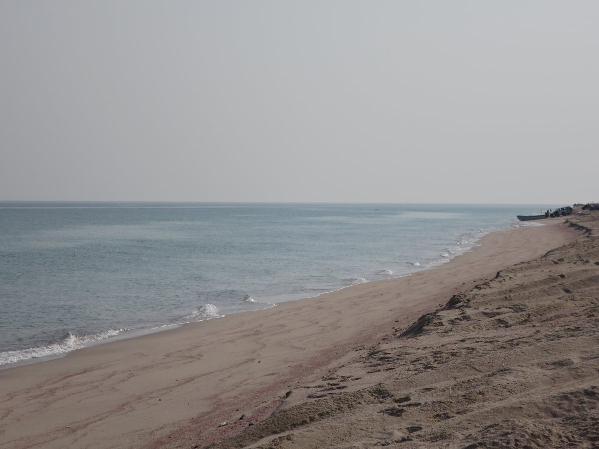 Archaeo_Oman's tweet image. Mid-season break! 🐬🏖️🐢
#FieldworkFriday 😉
#Oman #BeautyHasAnAddress #beautifuloman #ExperienceOman #OmanByYou