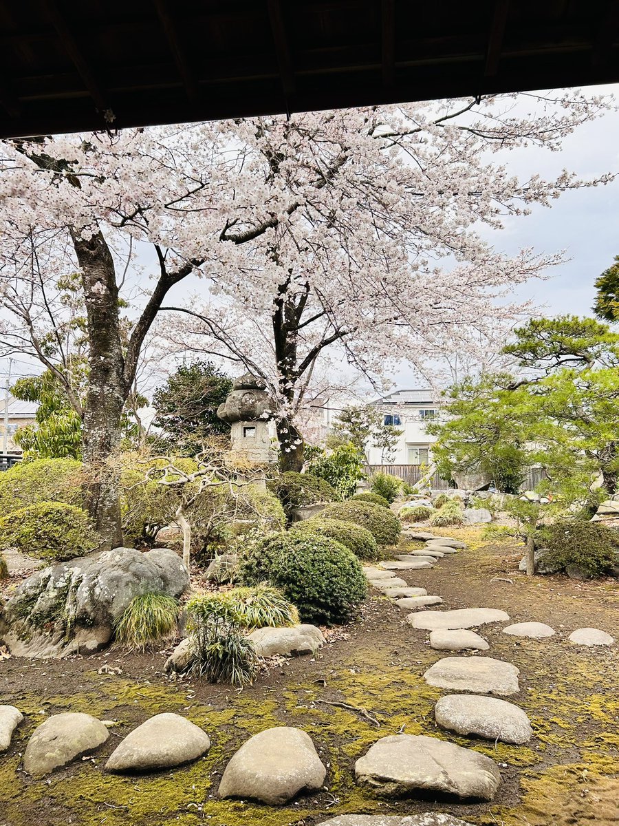 🌸瀧澤家住宅🌸
満開です🌸🌸🌸
展示もお楽しみください😊
#開花情報
#桜の開花情報
#栃木県さくら市
#さくら市
#ちょうどいいさくら市
#瀧澤家住宅