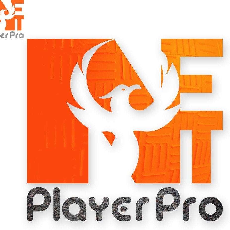 nftplayerpro.com Putting the power if NFT's in your hands.