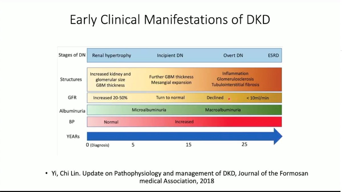champ_wayne's tweet photo. Excerpts from @toxicnephro's lecture on how to prevent transition from CKD to Kidney Failure.
@pcpcvcon @pcp1953 #IMinTransit https://t.co/E9F7OwxhTR