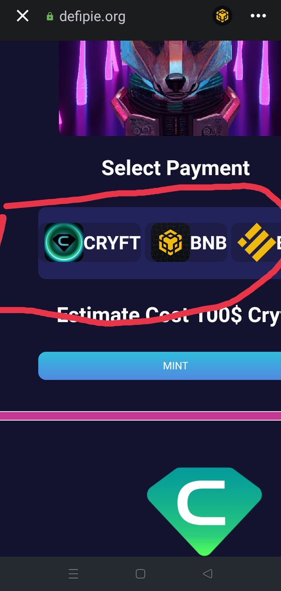 DeFiPie_Cryft's tweet photo. @grants_food Make sure to select Payment before hitting Mint https://t.co/0TWlhzkCgJ