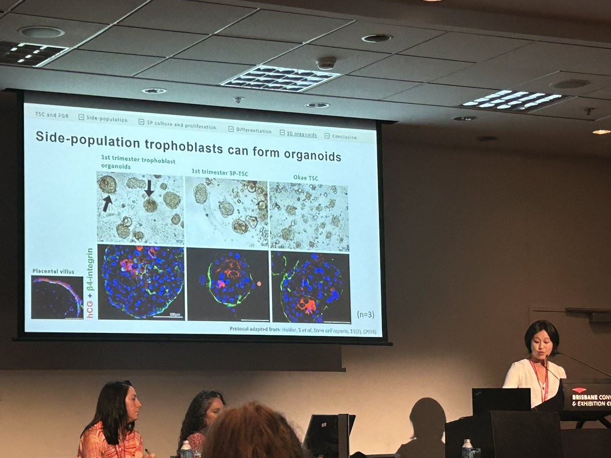 Prof Jo James tweet media