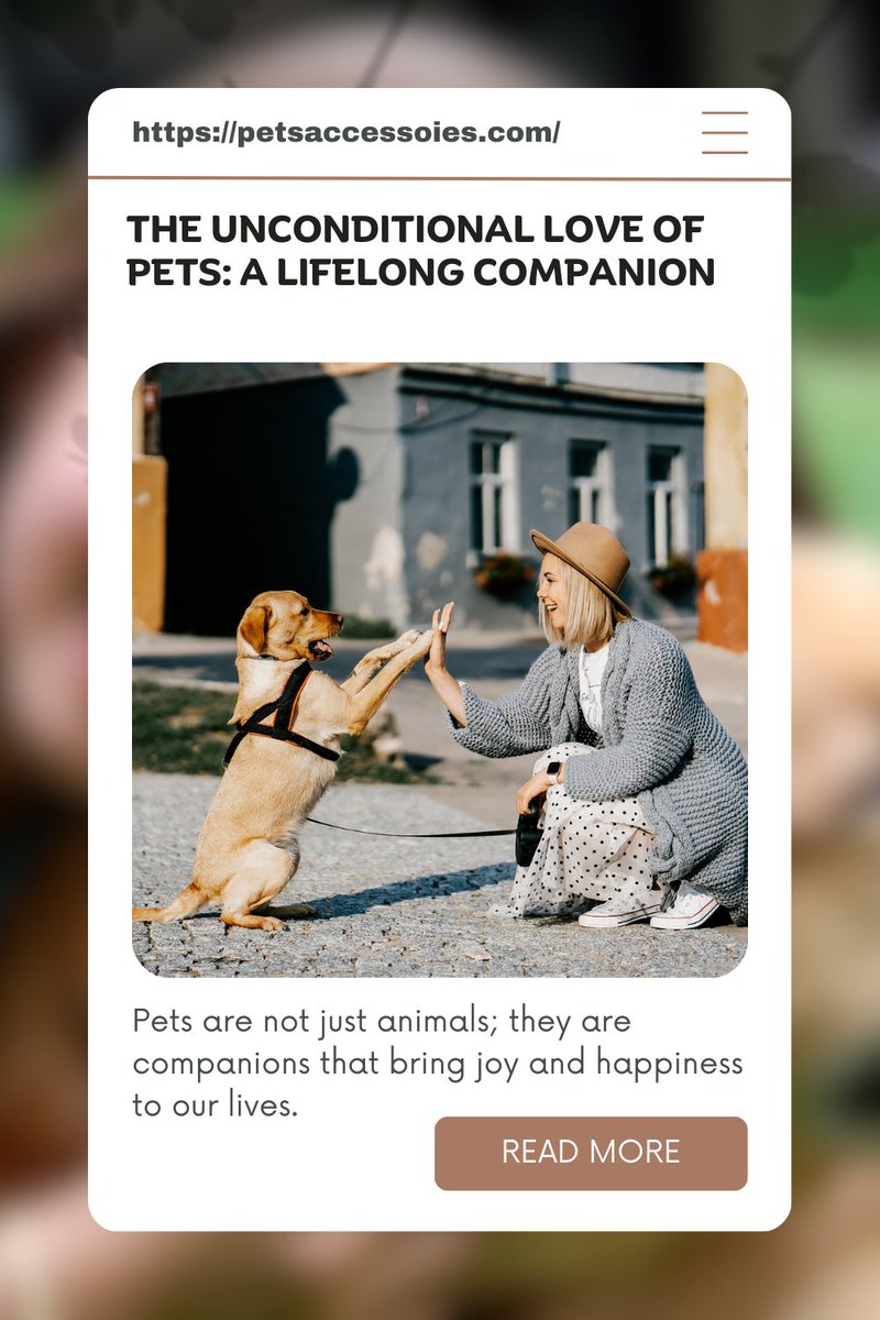 pets_accessoies's tweet photo. #pets #pet #dogs #petsofinstagram #dog #dogsofinstagram #cats #animals #cute #petstagram #love #cat #puppy #catsofinstagram #doglover #dogstagram #instagram #instadog #doglovers #animal #of #dogoftheday #petlovers #doglife #puppylove #catstagram #catlover #instagood #ChatGPT https://t.co/dx3JuQMO3W