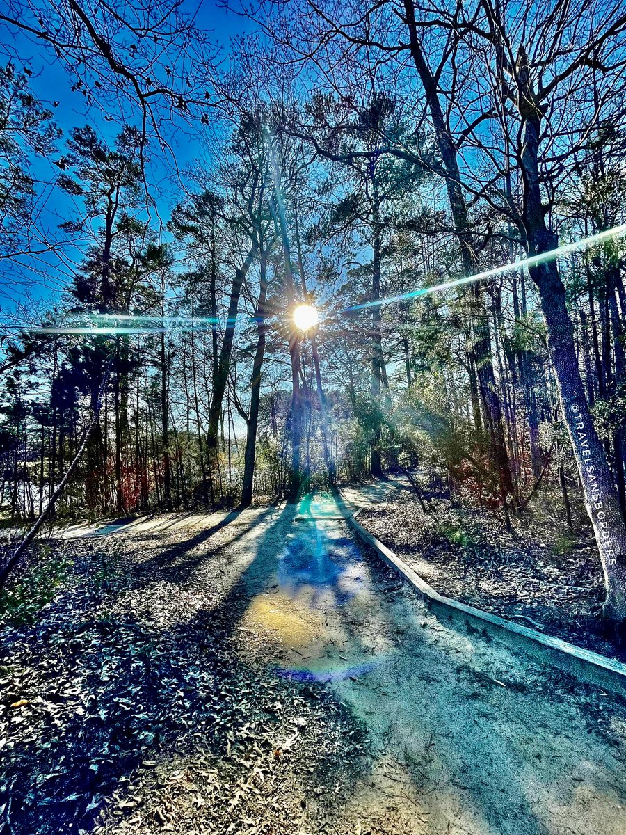 It's your road and yours alone, others may walk it with you, but no one can walk it for you.
-Rumi 🧐🙏🤗

#visitvirginia #onlyinVirginia @VisitVirginia