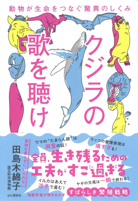 帯ありとAmazonバナーです。

Amazon「クジラの歌を聴け」
https://t.co/heXV5UjPtK 