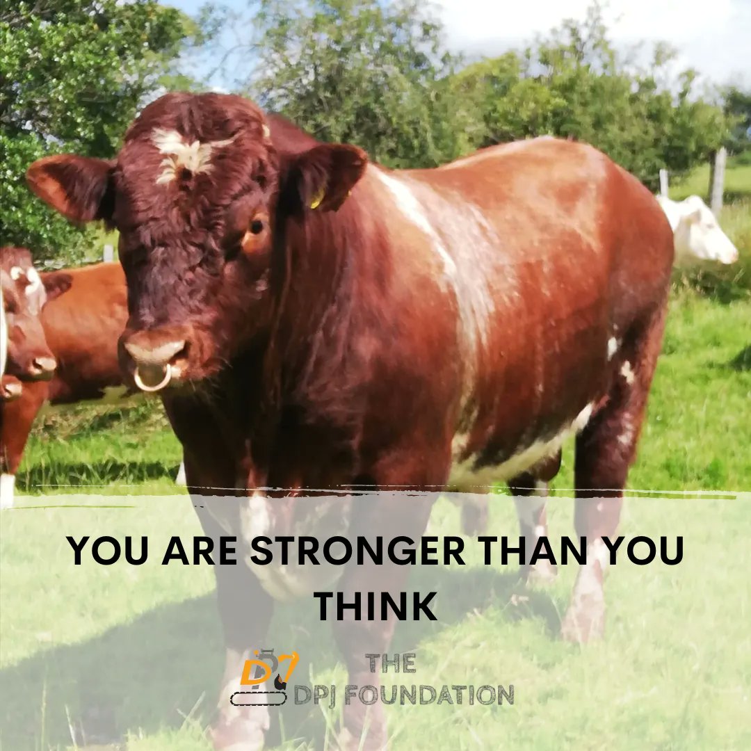 The DPJ Foundation tweet media