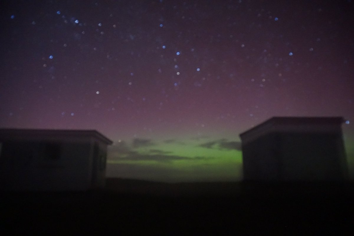 caierith's tweet image. Llewyrch yr Arth 23.03.23