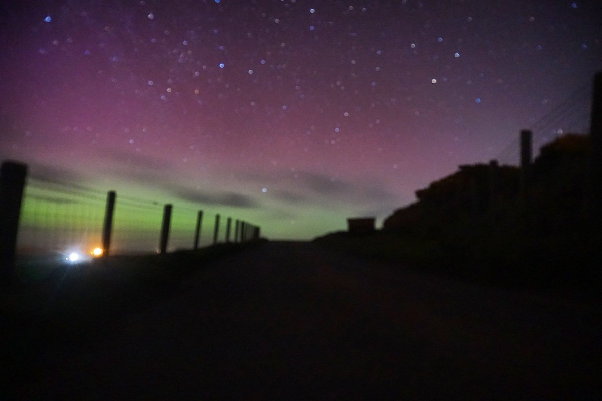 caierith's tweet image. Llewyrch yr Arth 23.03.23