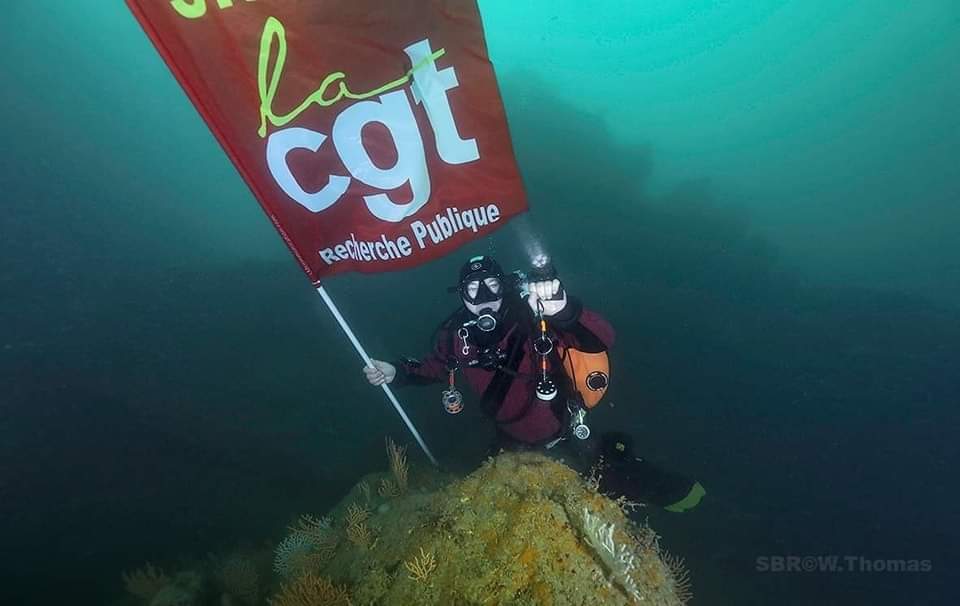 Jusque sous la mer, on lâche rien !
Bravo aux camarades du CNRS de Roscoff, eux aussi en lutte ✊🤿
#manifestation #manif23mars #greve24mars