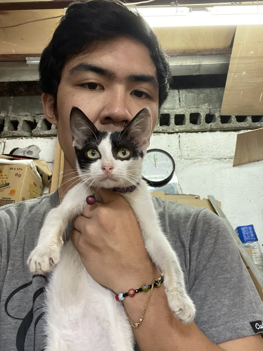 skateboardbo's tweet photo. @anemosys Kamukha ng askat ko https://t.co/EtWYkjN4tH