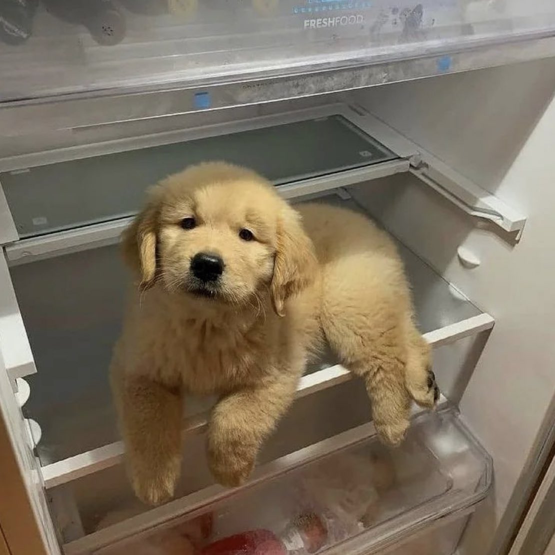 ก็มันร้อนนนนอะแม้้้้้้้้้