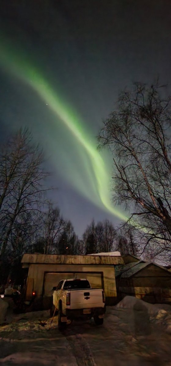 Danika711's tweet photo. Having a grand old time looking crazy in my driveway #anchorage #northernlights @AuroraNotify https://t.co/VVwLuy1Qam