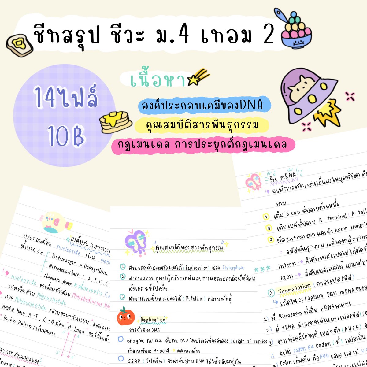 คุณทีวาย | รับทำทุกอย่าง ⭐🤍 tweet media