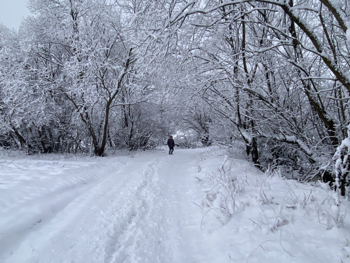 Caleb_Geo's tweet image. Romania , Wild north side