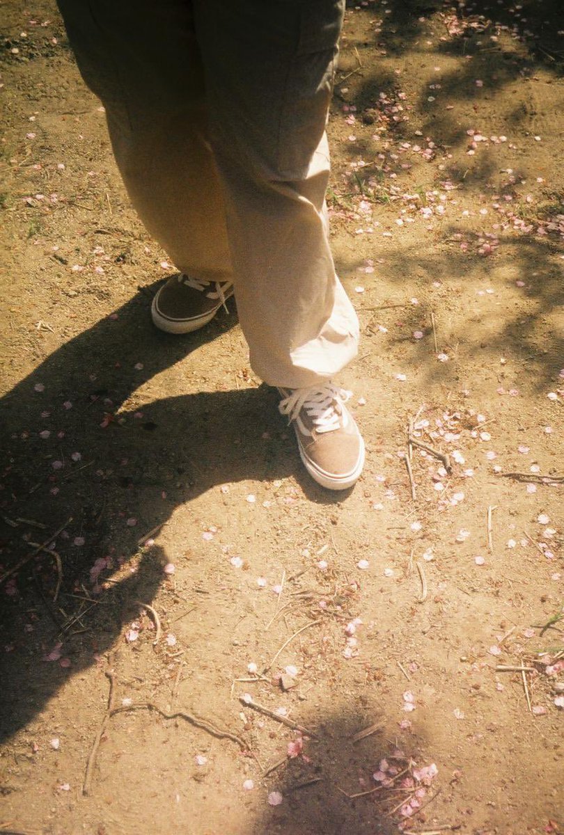 ty__photo's tweet photo. filmと花びらと影

#フィルムカメラ 
#フィルム写真 
#田舎道 
#スナップ写真

#おくさんぽ
#お写ん歩 
#キリトリセカイ 
#写真好きな人と繫がりたい 
#カメラ好きな人と繋がりたい 
#ファインダー越しの私の世界 
#写真で伝える私の世界 https://t.co/Lx21O0Artf