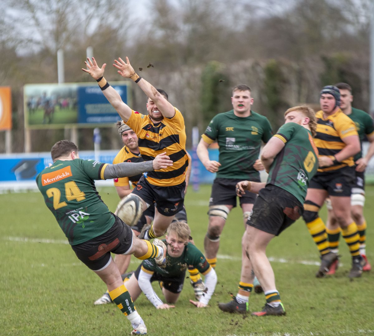 Phillipa Hilton tweet media