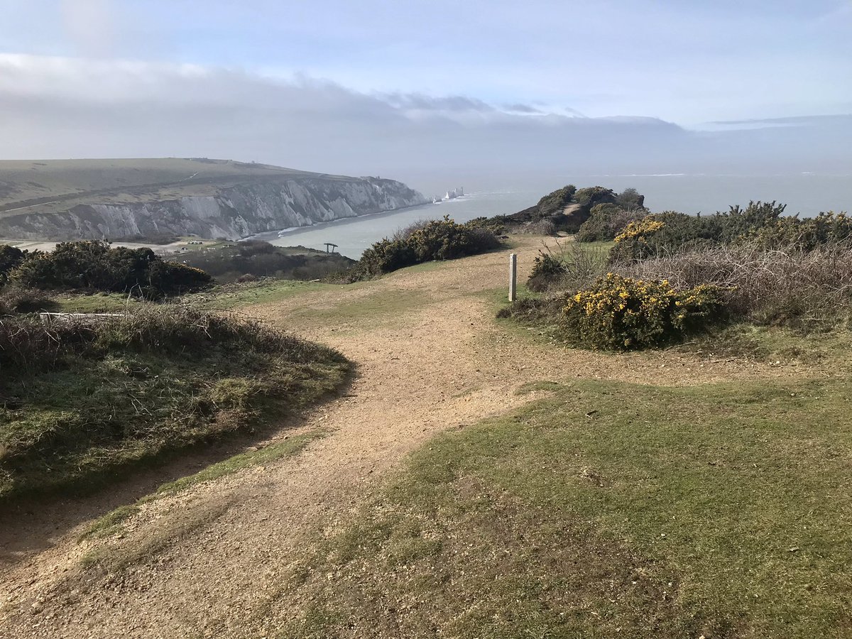 Zakitina_Lily's tweet photo. Blustery but lovely #Sunday stroll at #HeadonWarren near #Totland #IsleofWight @VisitIOW @jaymarno9 https://t.co/7QK2t8WHh3