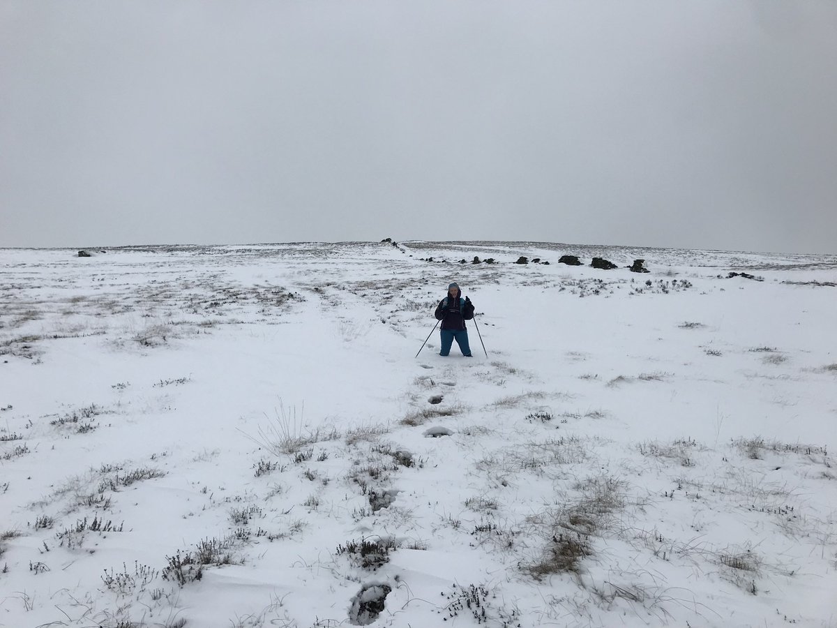 MuddyBird's tweet photo. Yesterday’s ‘run’ turned into much more of a crawl in places…literally 🤯 https://t.co/xvNfSIghS7