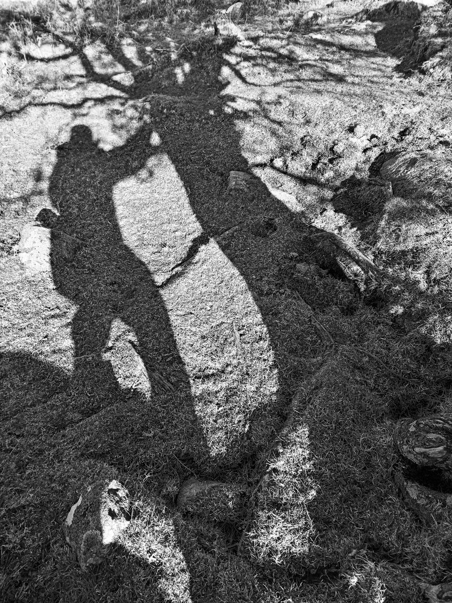 Managed to catch some sun & #shadow at the start of March up on #dartmoor. Visited my favourite hawthorn #tree to give it some love. It was so dry up there, but hopefully the rains have now restored the squelch.
#moors #trees #walking #blackandwhite #solaceinnature #devon