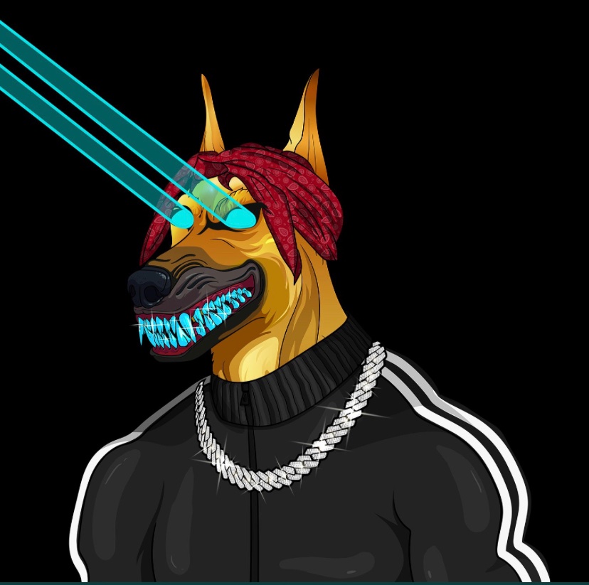 Wahgmi's tweet photo. Solana Hounds are an upcoming project with fire art! Featuring 7,787 Hounds with utilities, merch, &amp; more. This is a must see! 

🎁 #NFT Giveaway 🎁

🏆 20x WL 

1️⃣ Follow @SolanaHounds 
2️⃣ Like &amp; RT 
3️⃣ Tag 3 Friends
4️⃣ Join Disc: https://t.co/SMTPX985S2

⏰ 48 hrs

#NFTs #SOL https://t.co/07nty0Zsbw