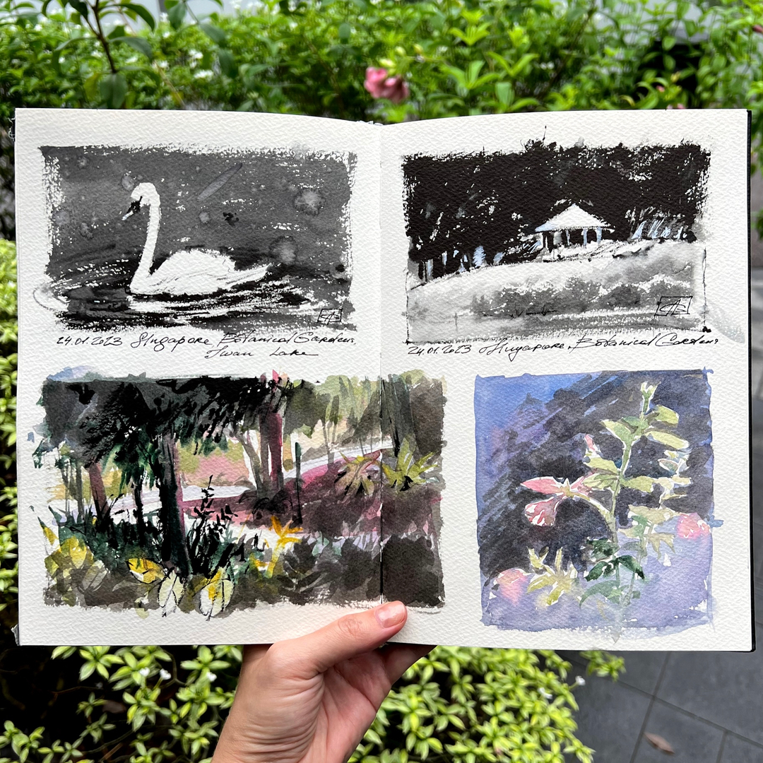 MySquiggles's tweet photo. Scouting for references under the rain in @singaporebotanicgardens. I am unstoppable 💪🏼 😏💪🏼

#mysquiggles_singapore #alenagastaldi @urbansketchers #watercolorsketchbook https://t.co/b1MnozFPOE
