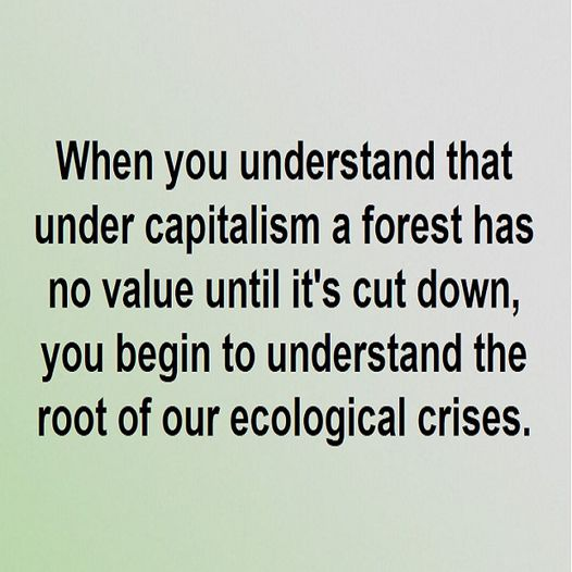 Oliver ✊🌏🔥 #ClimateAction #EcoSocialist tweet media