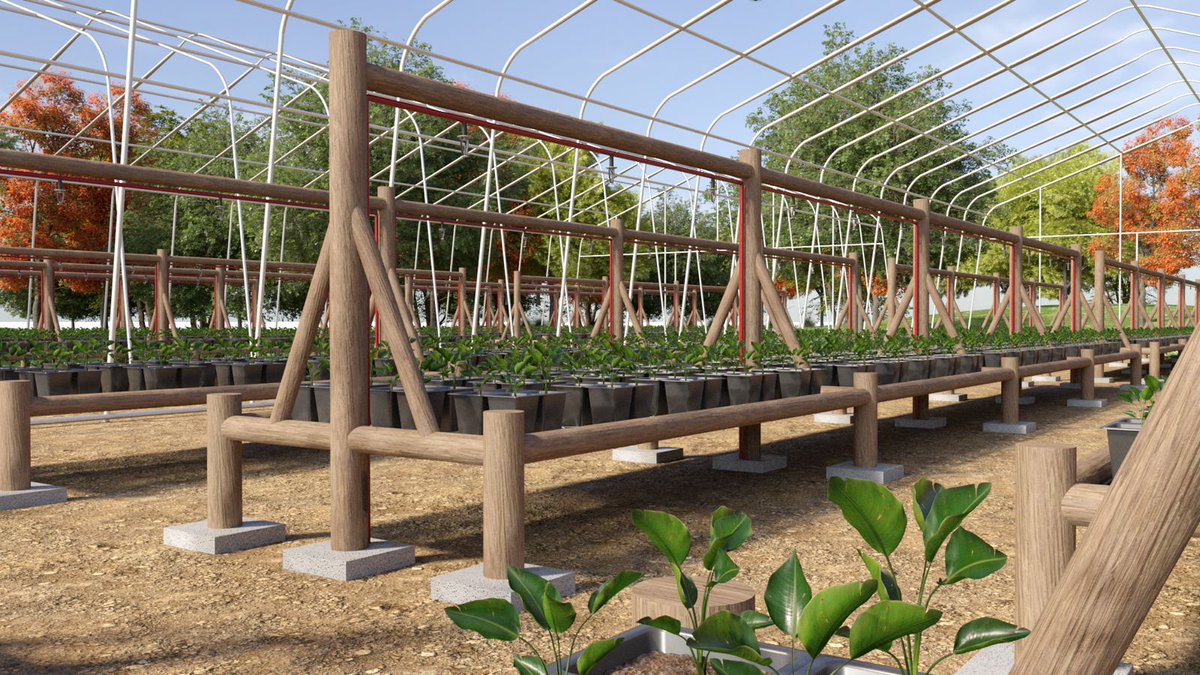 A Tree Nursery commeth ........

Here it is ..