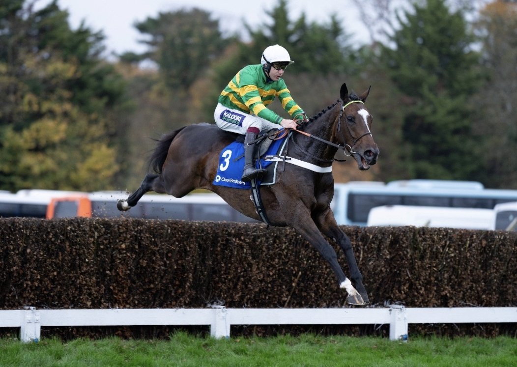 Stephen R Power on Twitter "🚨 9 Declared in the Arkle Chase!! Jonbon