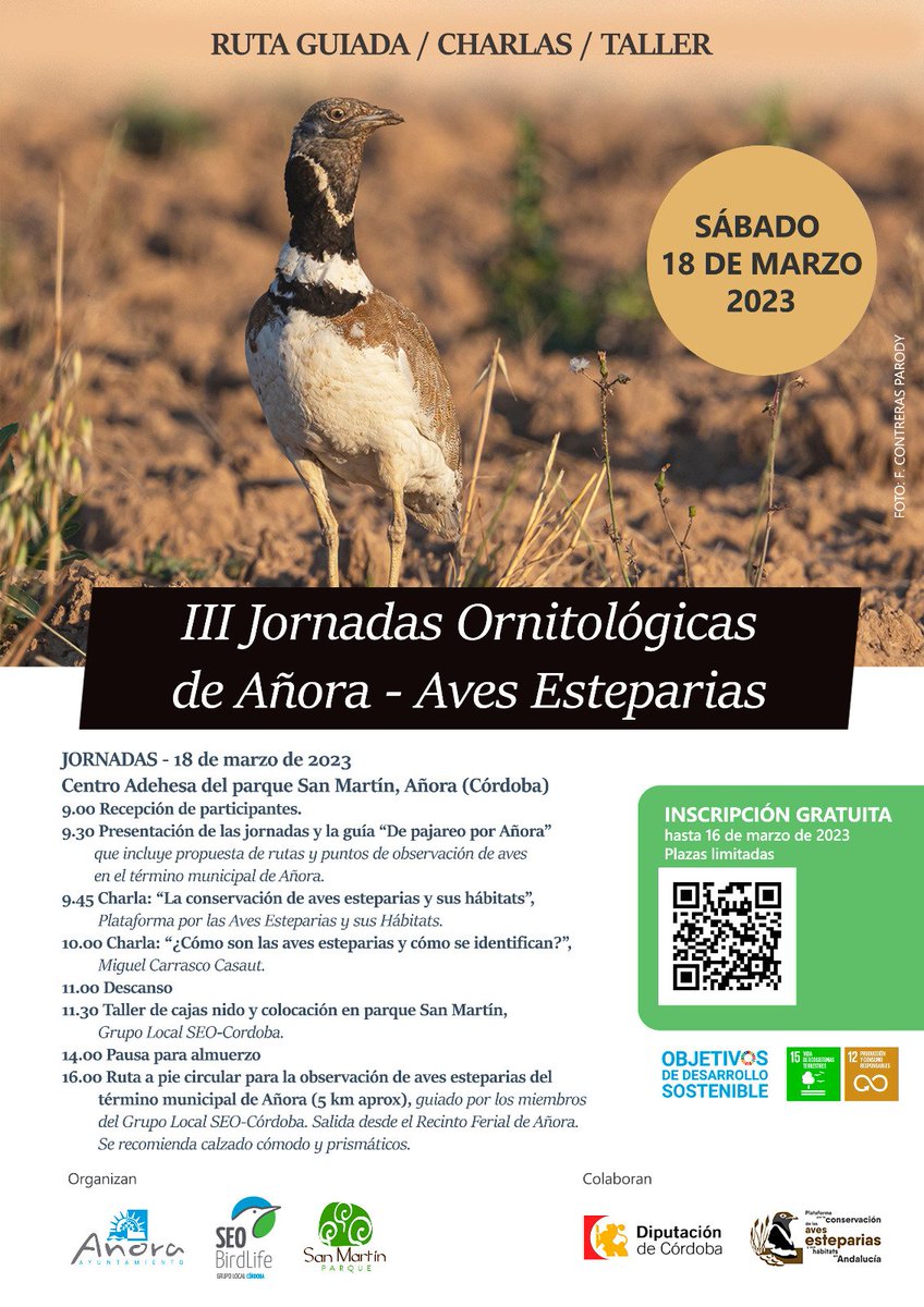 Plataforma Aves Esteparias (@pesteparias) on Twitter photo 