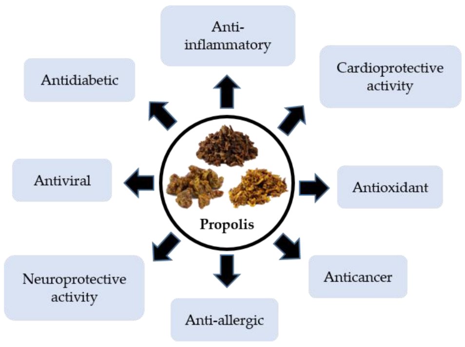 Molecules_MDPI's tweet photo. 📌#propolis #chronicdiseases #biologicalactivity #activecompounds
New Publication “Propolis: Its Role and Efficacy in Human Health and Diseases”
By: Anwar Usman, et al.
👉 https://t.co/RlntLawltt
#mdpimolecules #NewPublication https://t.co/PB8fMlhgaE