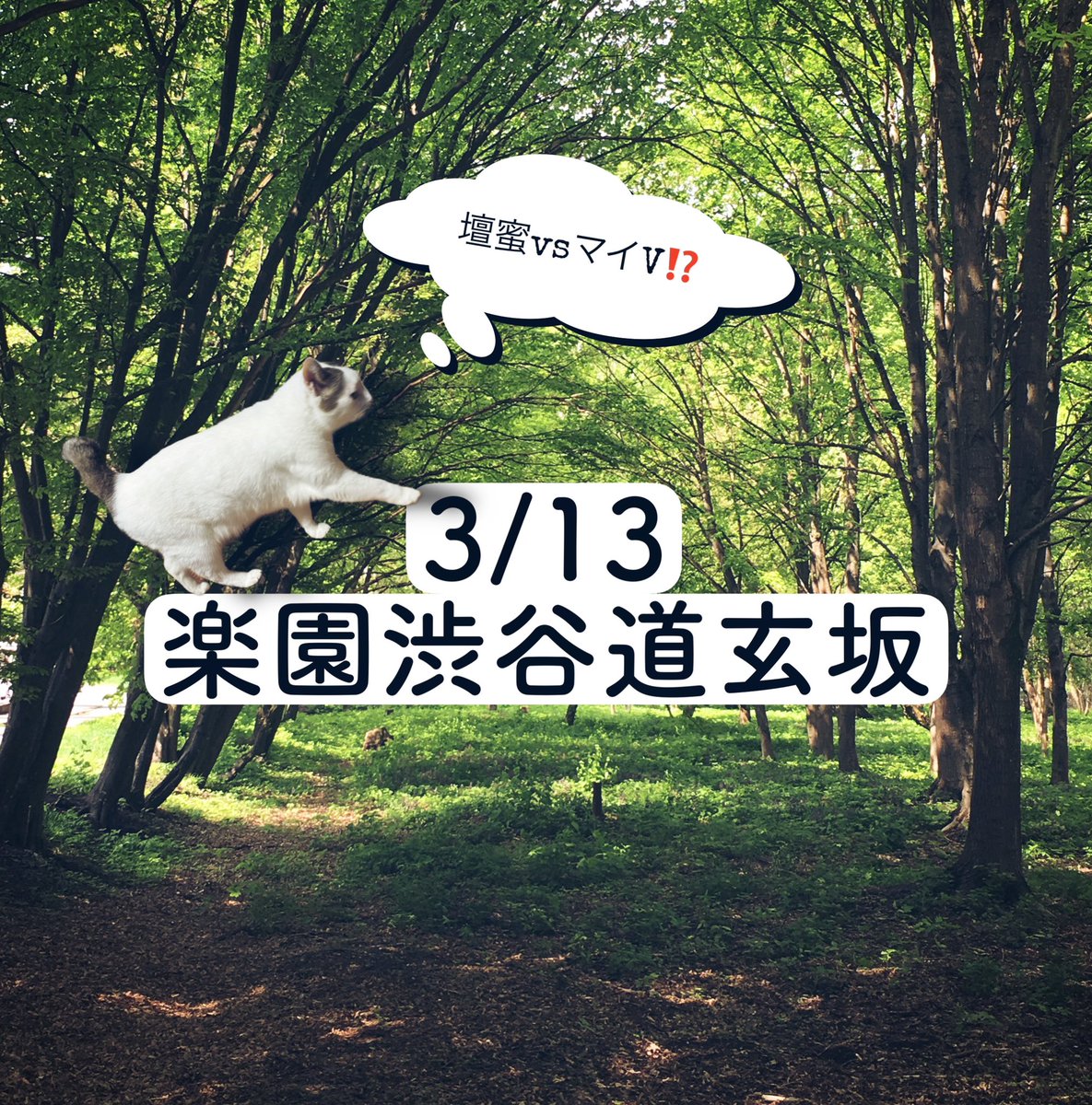3/13のエサ結果🐈🐈🐈猫3匹
楽園渋谷道玄坂
新台入替×❸のつく日
🦐壇蜜&マイV
各機種に単品以上
マイⅤは1/4くらいの配分🐾
🎆ハナビシリーズ&🆕レールガン
各機種に単品以上
レールガンは1/3くらい⁉️
🐠単品
カバネリに複数
けもフレ、バキ等に単品
🤡ジャグ
アイム&ハッピーに単品以上🈶