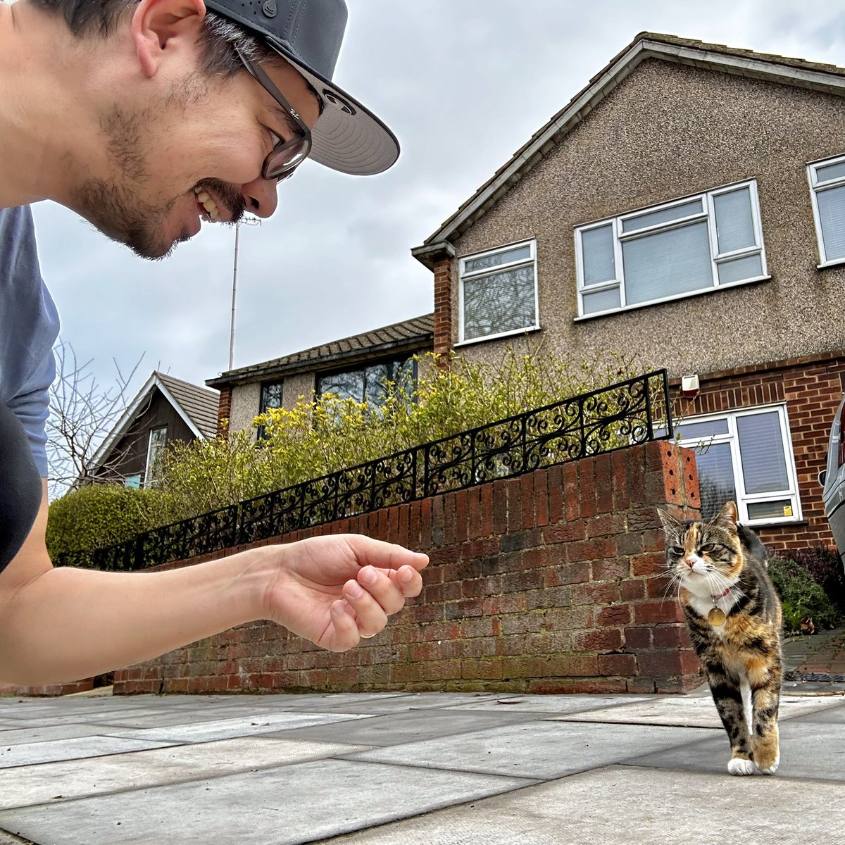 neildejyothin's tweet photo. Cats of the Day 2 proceeds as normal today. 😻 #COTD #COTD2 #MOTD #MOTD2 #catwhisperer https://t.co/dImdBZhwCL