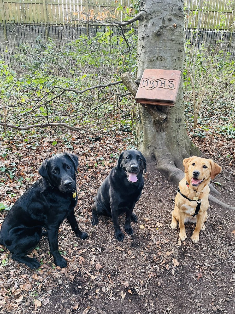 LadyLab17's tweet image. We’re so very proud to have had a small part in that. 

It’s great to be able to still see him &amp;amp; have him on his #pawlidays from his important work.