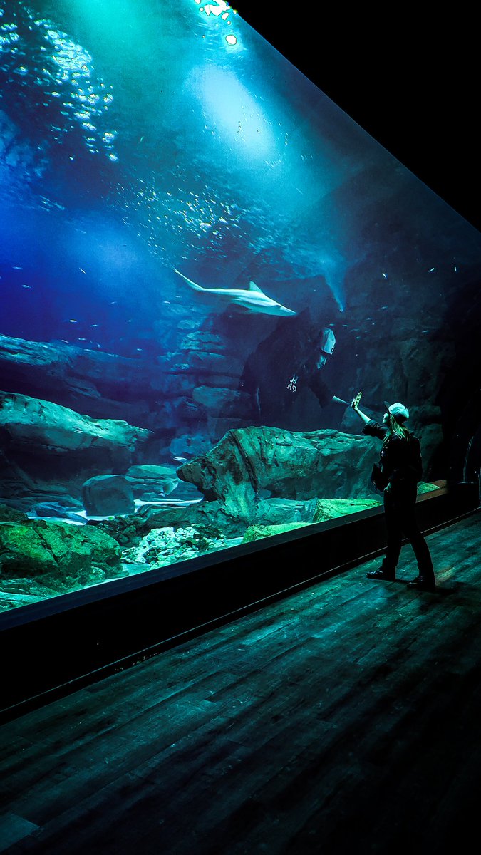 Ubisoft Newsroom Contact Presse France on Twitter "RT CaroWhovian