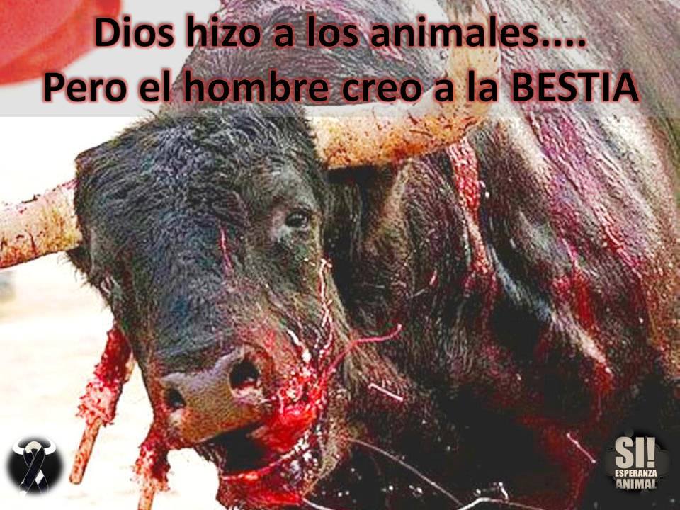 CoalicionAnimal's tweet photo. @Vanditvodnyk @INVERSORESP @Montseyugo @laurahdz28094 @churamriverlan1 @Marilu86053 @iztalccihuatl @1pantonio @Tony75856584 @svetazul @mayumiguillen @QUODOMINE @ZoraidaPalacios @BritanniaZ @MolleteApestoso Aja! Es la opinión del viejillo ese que hizo una película que fue un fracaso total, que donde por cierto dijo que la tauromaquia esta condenada a desaparecer y ganara la causa Antitaurina.. el puede decir misa, las corridas de toros son un linchamiento publico donde se tortura https://t.co/eB1SpoFDdT