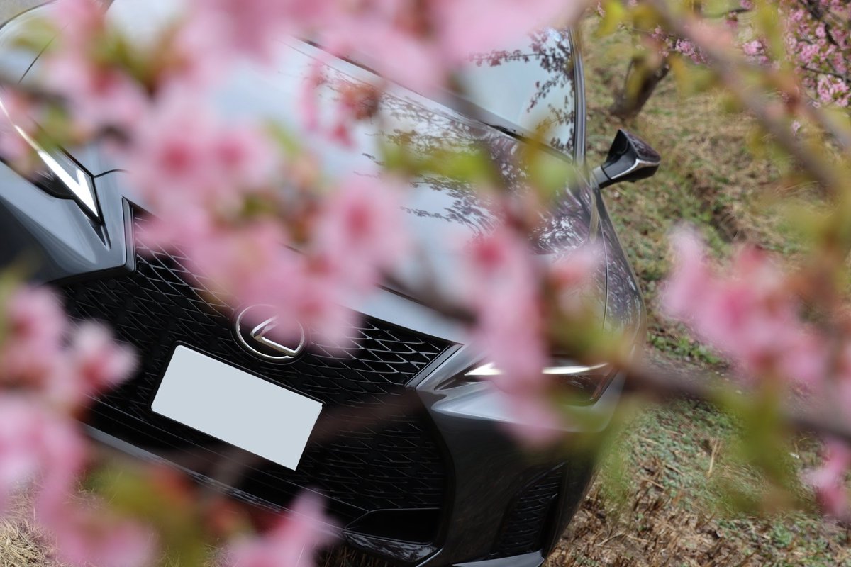 inatchi_gse31's tweet photo. 2023年春🌸
愛車×河津桜
ちょっと早かったかな😗

#lexusis 
#lexusis350
#gse31
#fsport
#modeblack
#sonicchrome
#愛車
#愛車撮影
#愛車と桜
#桜
#クルマのある風景 https://t.co/6PWIMg3gtt