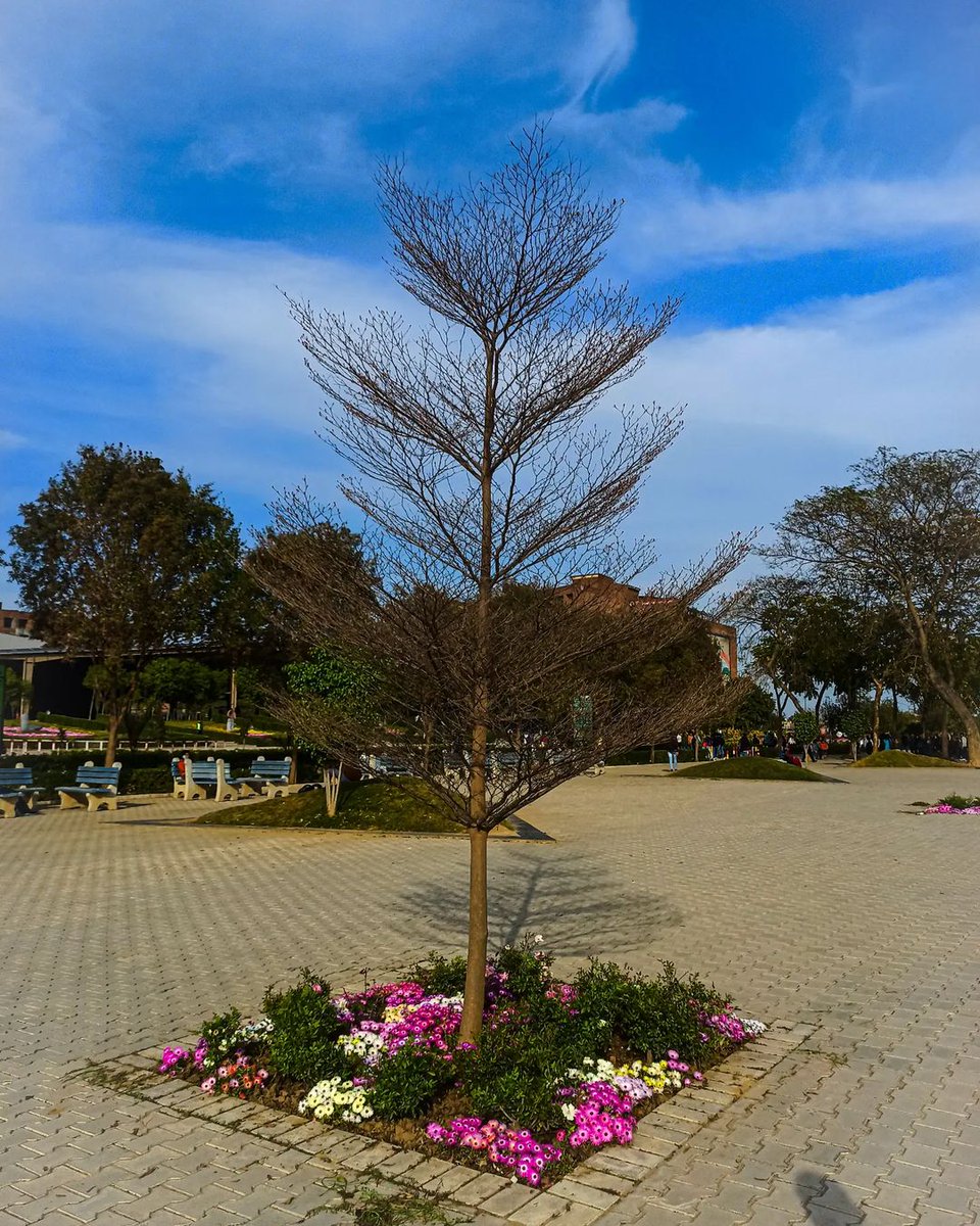 lpuuniversity's tweet photo. The lovely #SpringSeason has arrived at the #BeautifulLPUCampus, giving us an uncountable number of opportunities to adore its beauty!

Here's one incredibly amazing picture to admire.

PC: themjaditya (Instagram)

#LPUForYou #LPUDiaries #LPUReview #LifeAtLPU #ThinkBIG https://t.co/PRD1ixRMwd