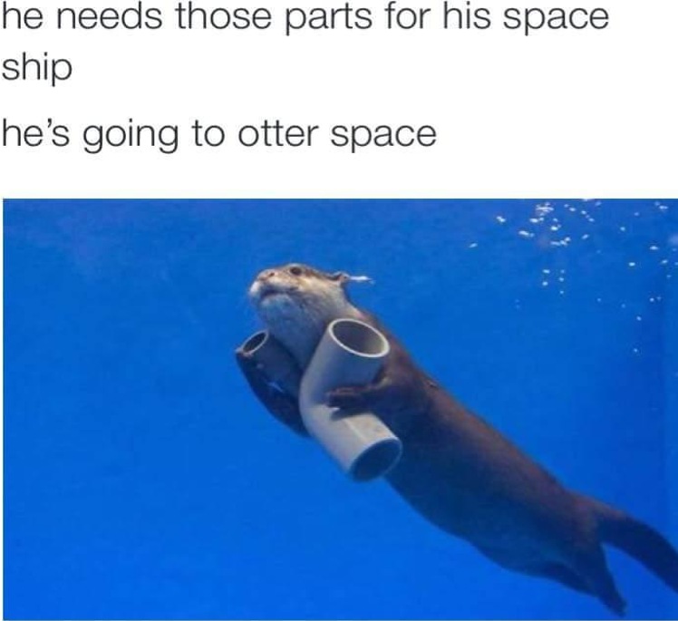 WholesomeMeme's tweet photo. https://t.co/2gGZTHXUzd