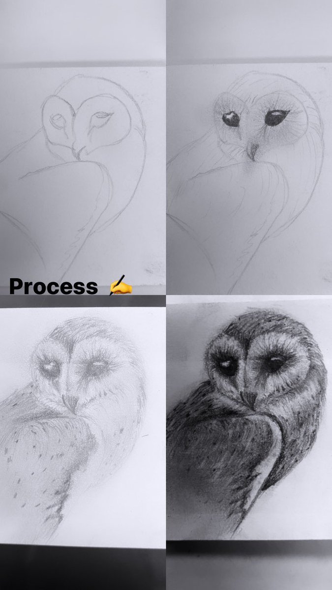 Sumaia_Art's tweet photo. مراحل الرسم
#رسم #فن #حيوانات #animlaart #drawing https://t.co/E8F3hlV0XE