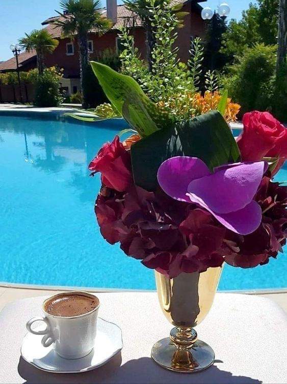 ╰☘ ❤️╦═╗
╭ 🧡║╣⭕️∟∟⭕️Ꮤ
╰💛
:¨·.·¨:🦋 💯➡️ifb
`·.🦋💯➡️sdv
¸.•´🦋💯 ➡️gt
(¸.•🌻❤<a href="/Namiye14/">❤ ꧂ ❤𝒩𝒶𝓂𝒾𝓎𝑒 ❤꧂ ❤</a>❤
#KaraAmbargroup 
#JuntosConMagda 
#FollowsEli 
#MarceTeAyuda 
#TeamKingFollow 
#TEAMSTALLION 
#VIP_FRIENDS 
#VanGuardaEssentials 
#loyal #AMY 
#voor21
#DinastiaMilenials