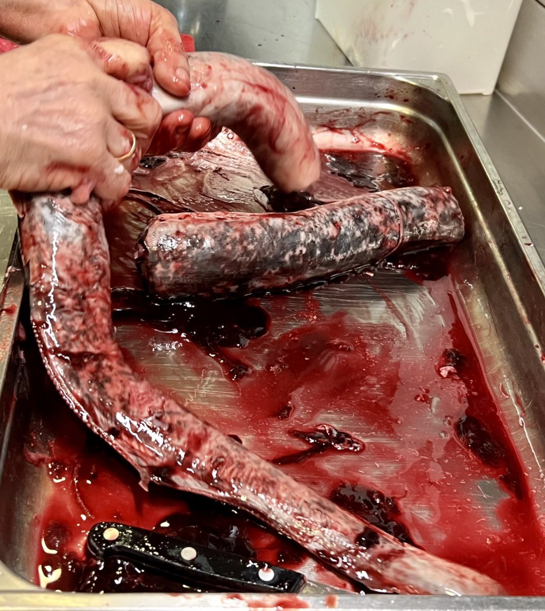 La suculenta lamprea a la gallega del cocinero Paco Pereira, en <a href="/restsalnegra/">Restaurante SalNegra</a>. Plena temporada de este pez de linaje milenario. Paso a paso de la receta.  Un “civet” con la sangre del mar que despierta pasiones y rechazos viscerales. elpais.com/elviajero/gast…