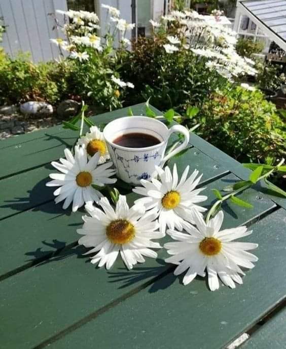 ╰☘ ❤️╦╗
╭ 🧡║╣⭕️∟∟⭕️Ꮤ
╰💛
:¨·.·¨:🦋 💯➡️ifb
`·.🦋💯➡️sdv
¸.•´🦋💯 ➡️gt
(¸.•🌻❤<a href="/Namiye14/">❤ ꧂ ❤𝒩𝒶𝓂𝒾𝓎𝑒 ❤꧂ ❤</a>❤
#KaraAmbargroup 
#JuntosConMagda 
#FollowsEli 
#MarceTeAyuda 
#TeamKingFollow 
#TEAMSTALLION 
#VIP_FRIENDS 
#loyal #AMY 
#voor21
#SmileTwi 
#FriendsFollback 
#DinastíaMilenials