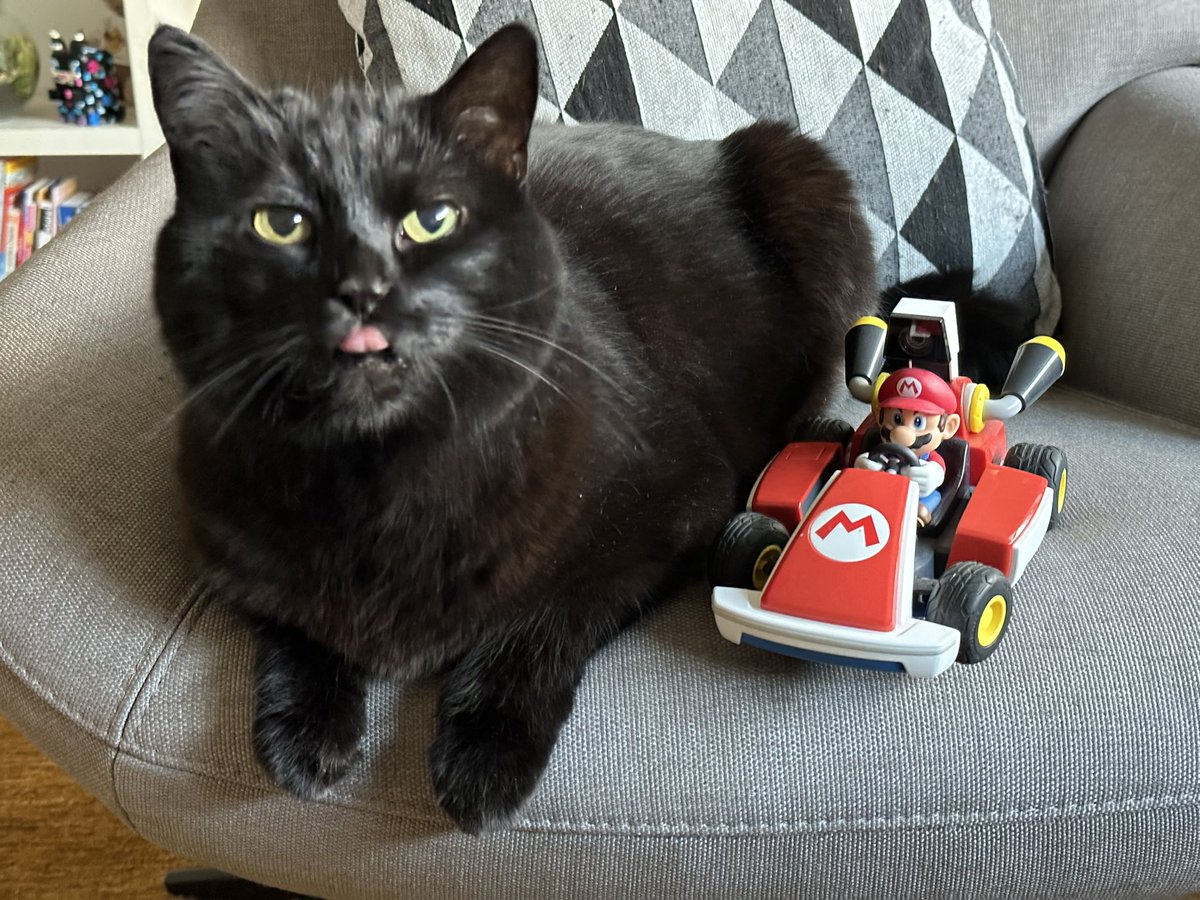 Mama Mia Mario Kart Turnier
Auch heute wieder um 14:00!

Turnier-Code: 1441-5933-1883