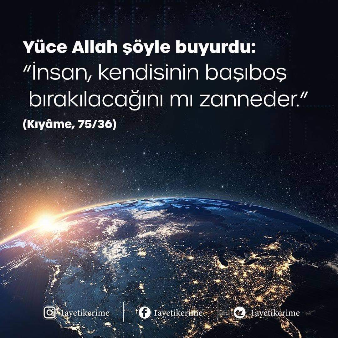 otkun63h's tweet photo. @otkun63h https://t.co/cvm965fpGy